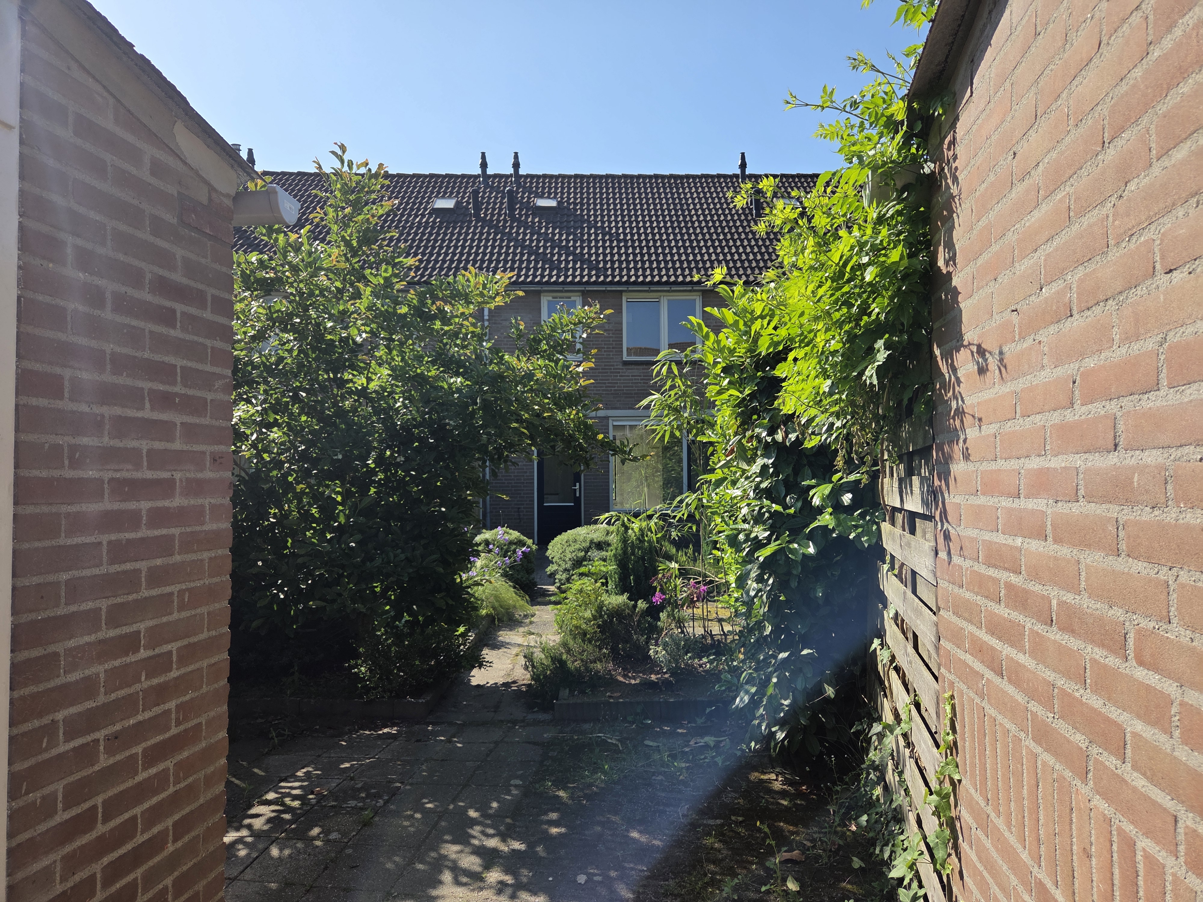 Eerste Lei 39