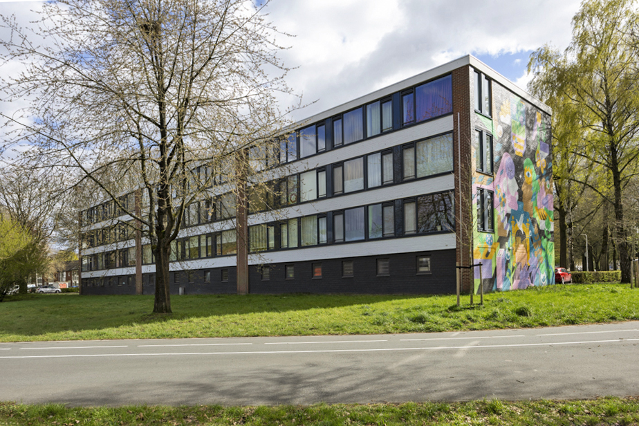 Bieslookweg 233
