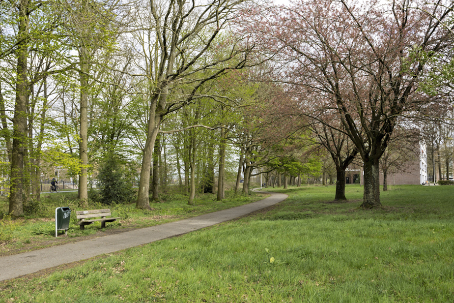 Bieslookweg 233