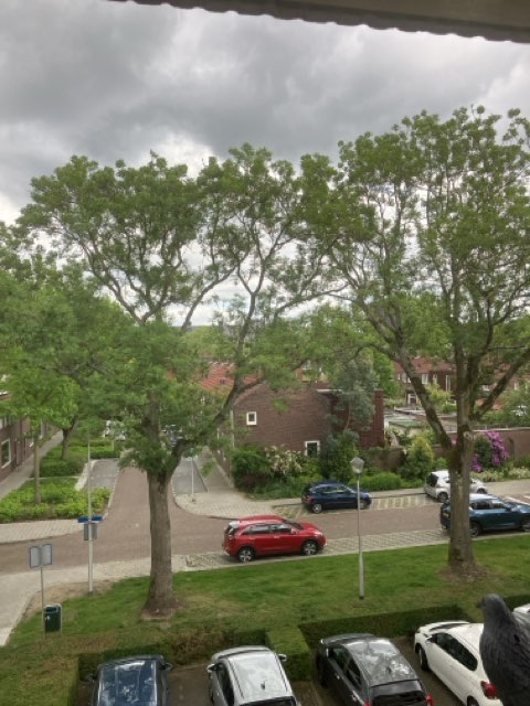 Wethouderslaan 43