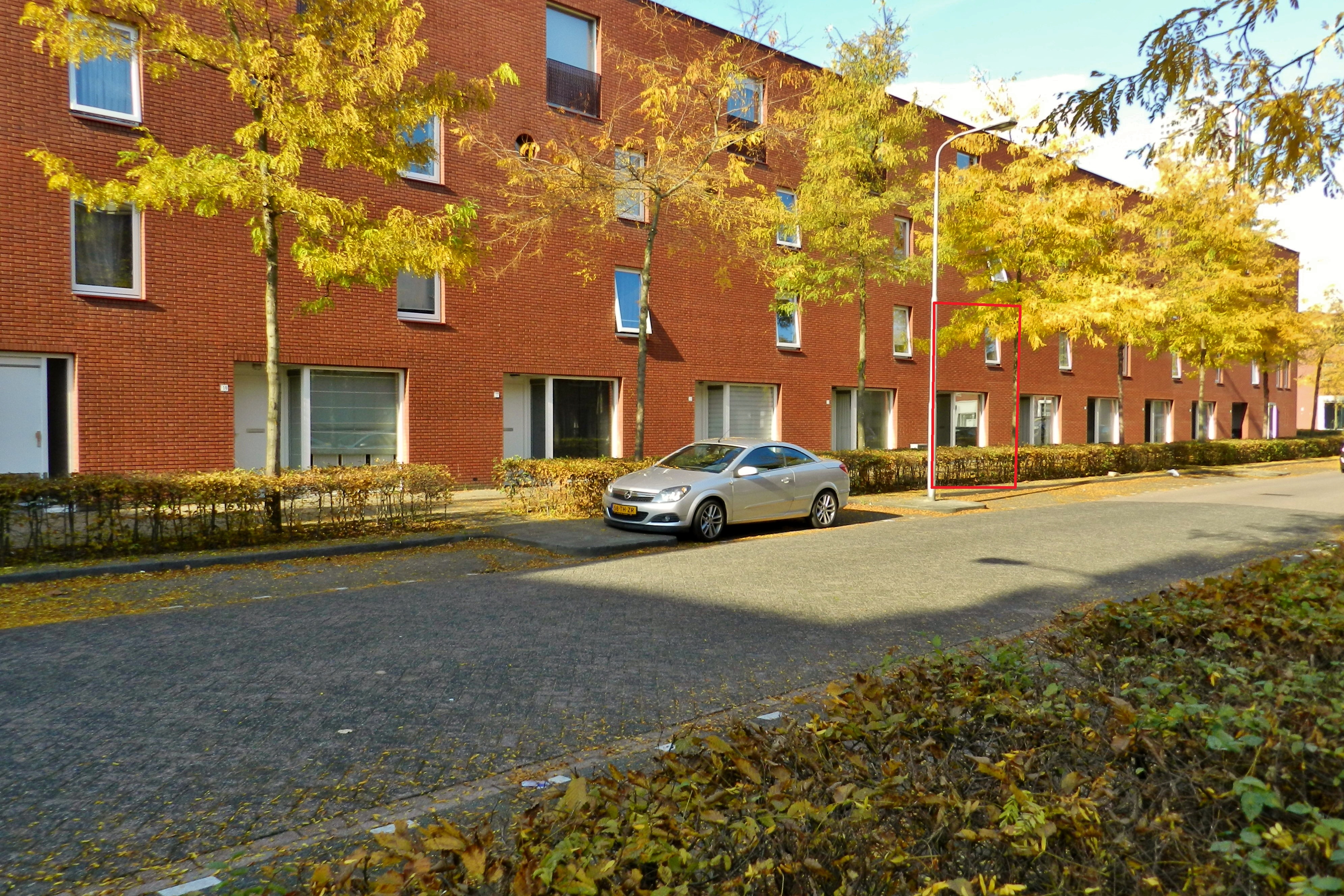 private-rentals for rent on Coba Ritsemastraat 11