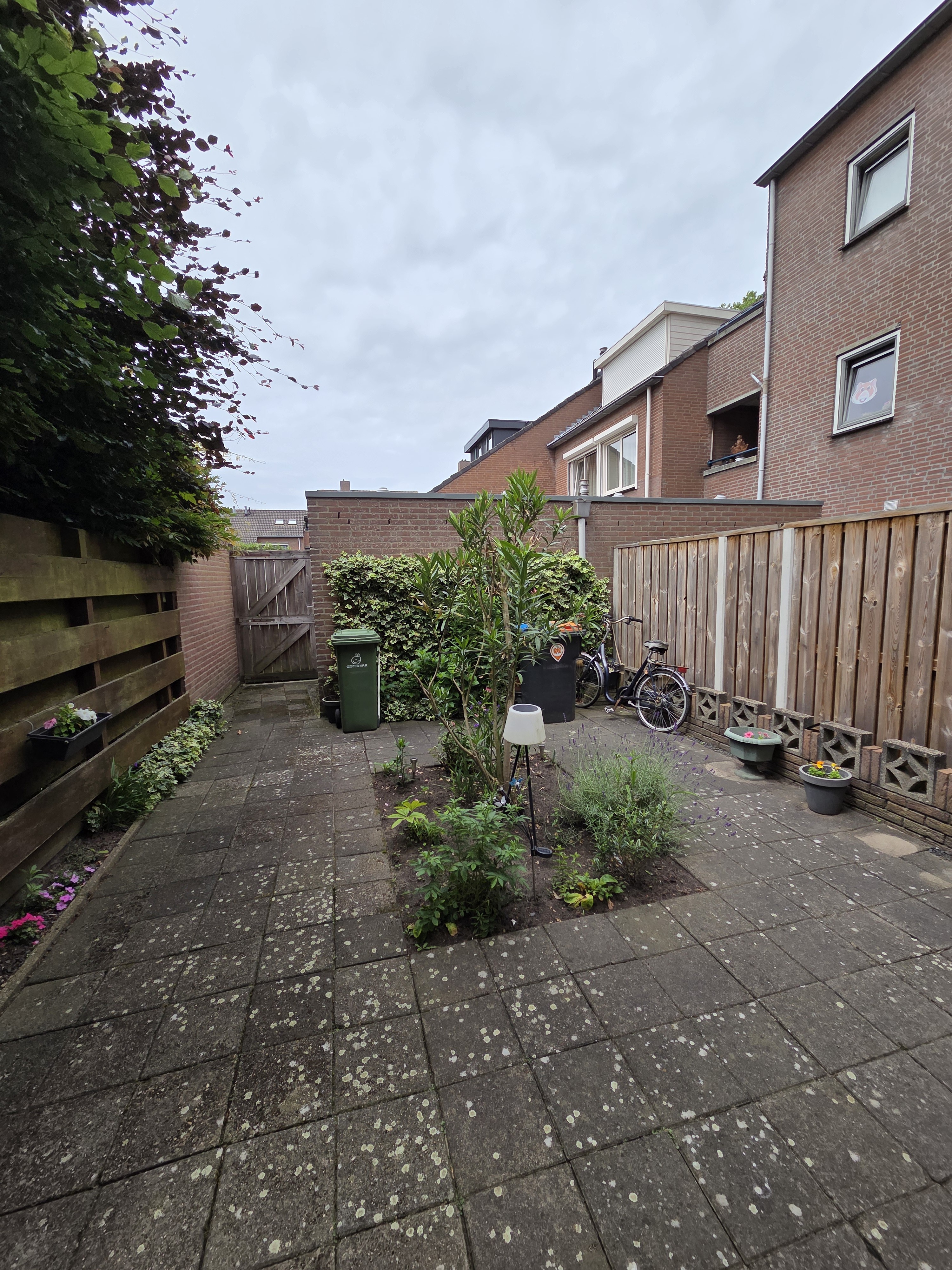 Beukengaard 24