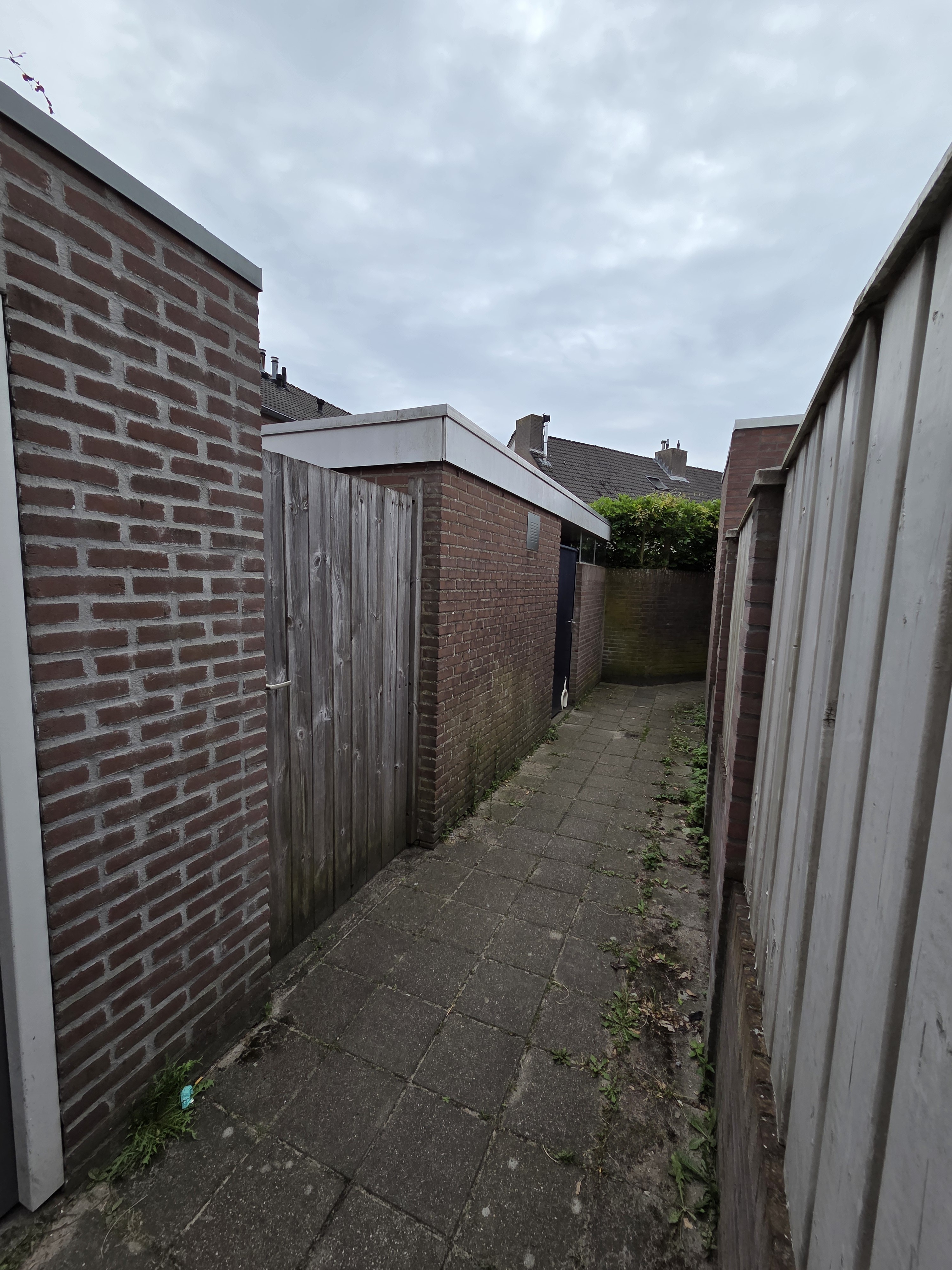 Beukengaard 24