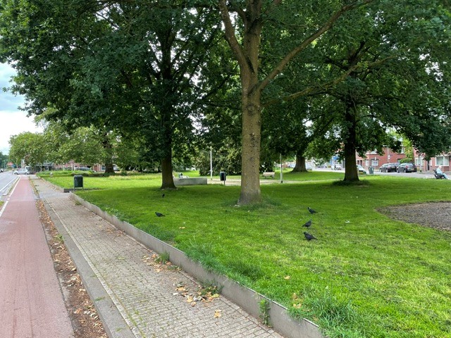 Transvaalplein 51