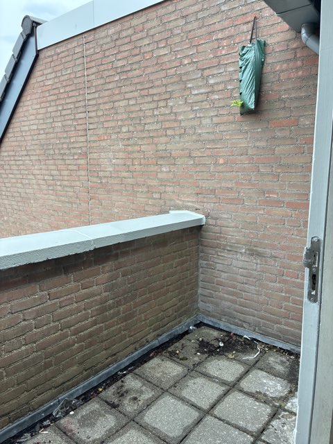 Conradhof 50