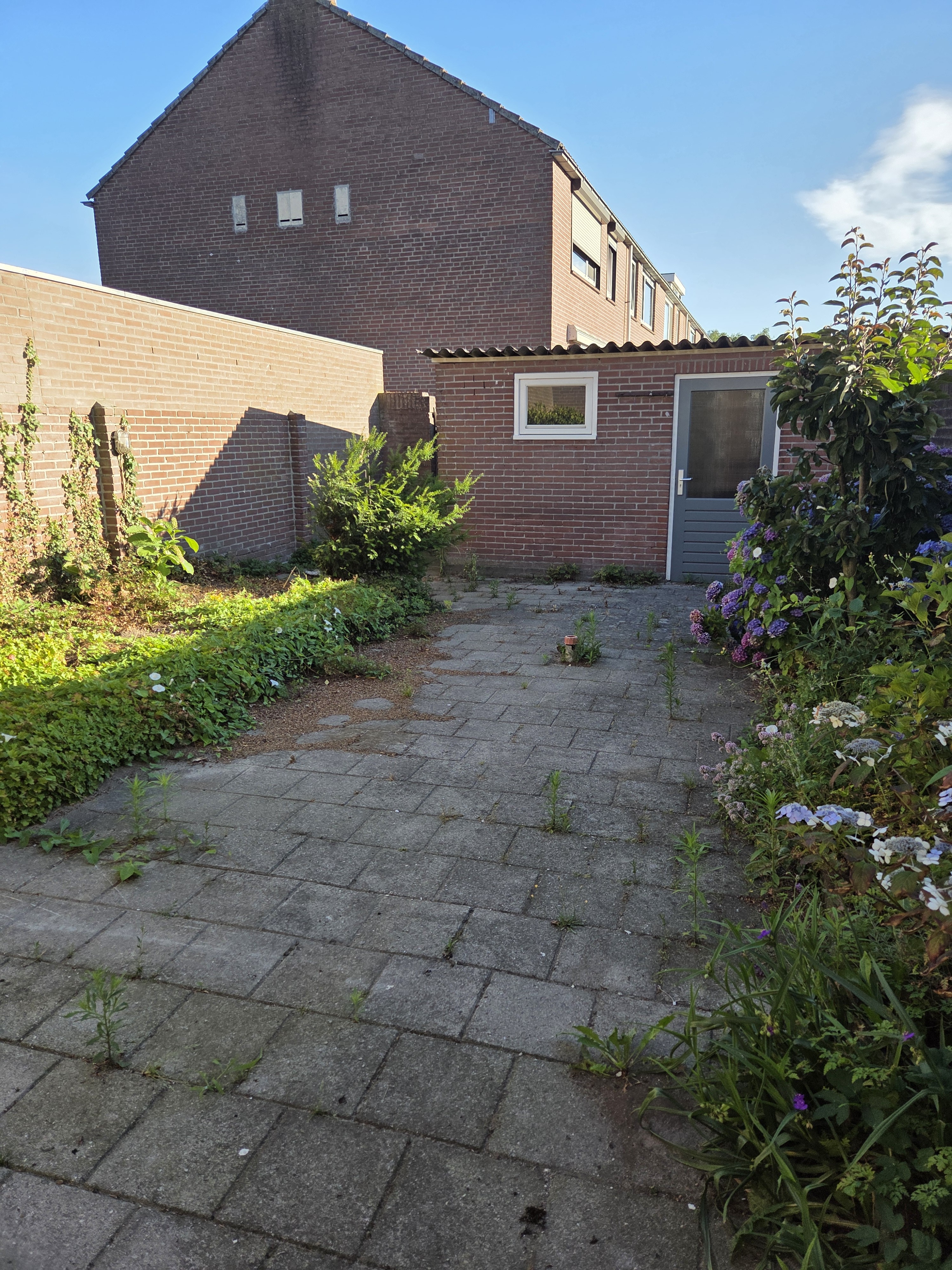 Groenvoort 29