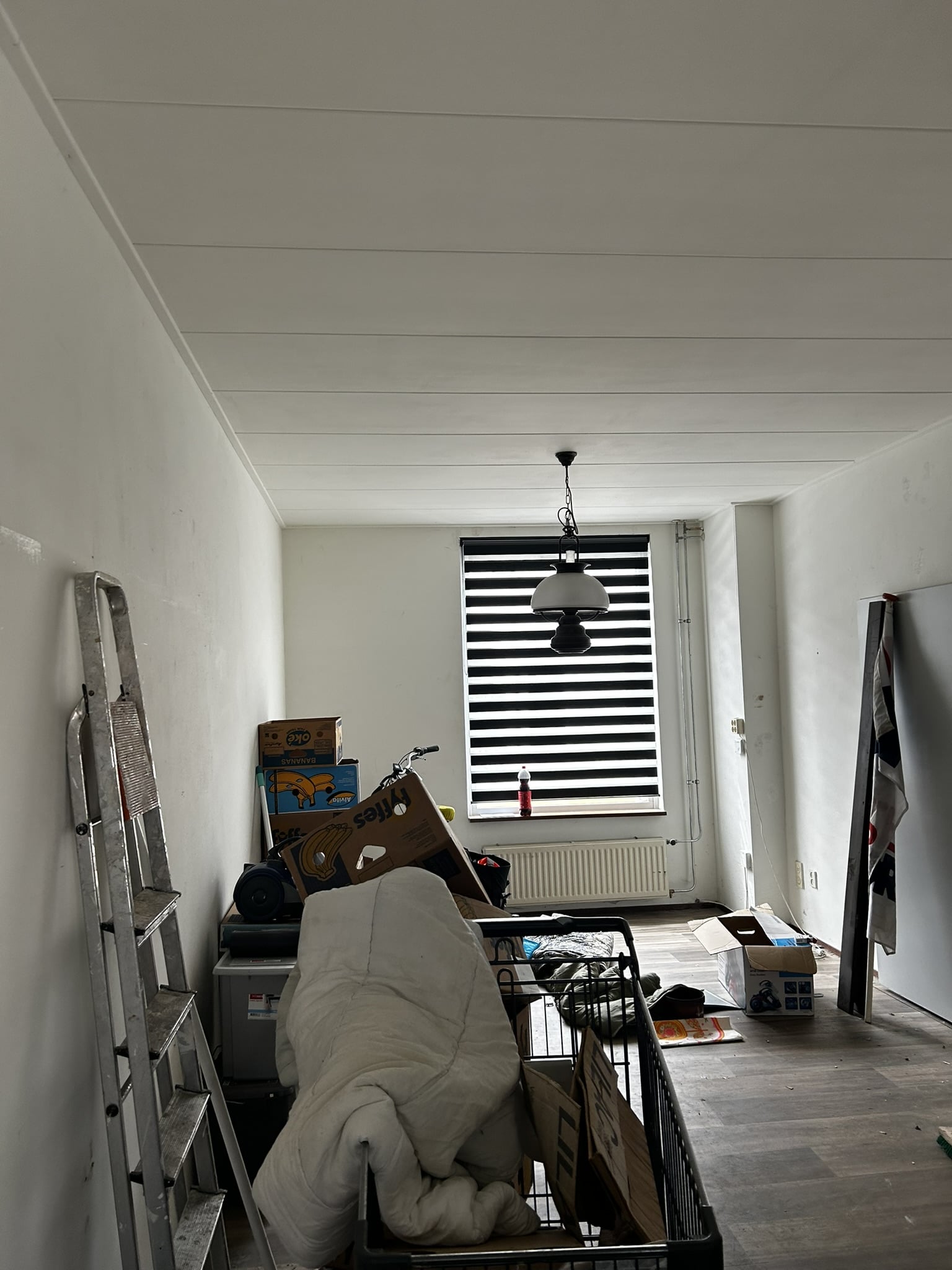 Tulpstraat 78