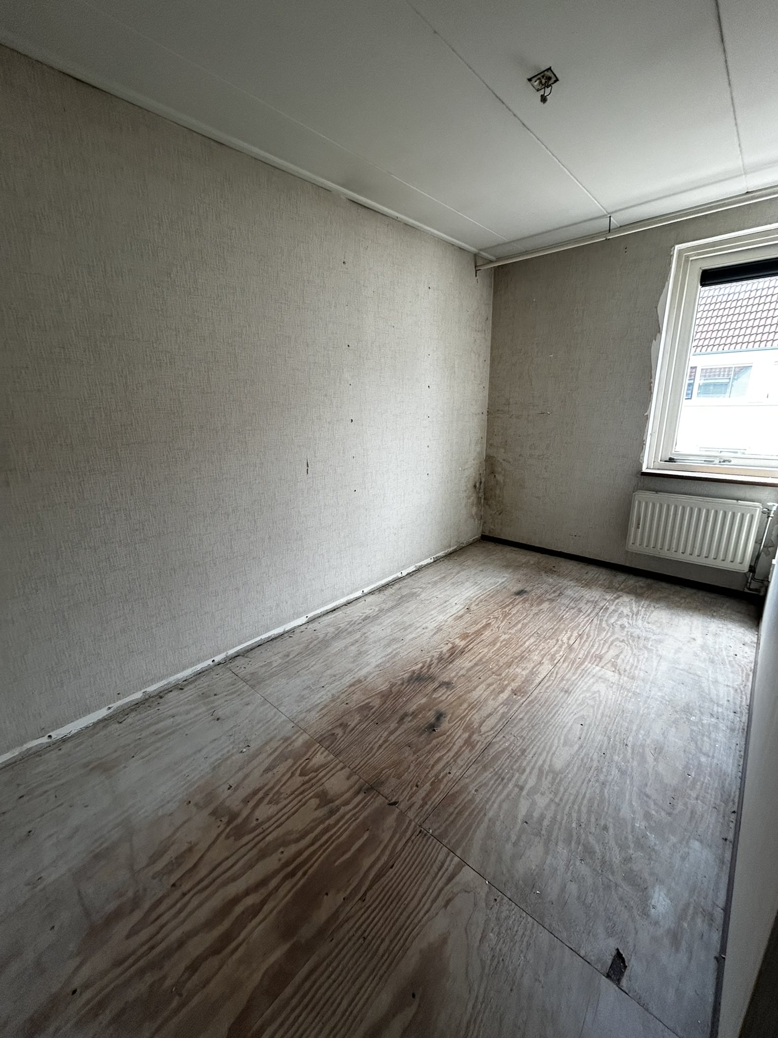 Tulpstraat 78