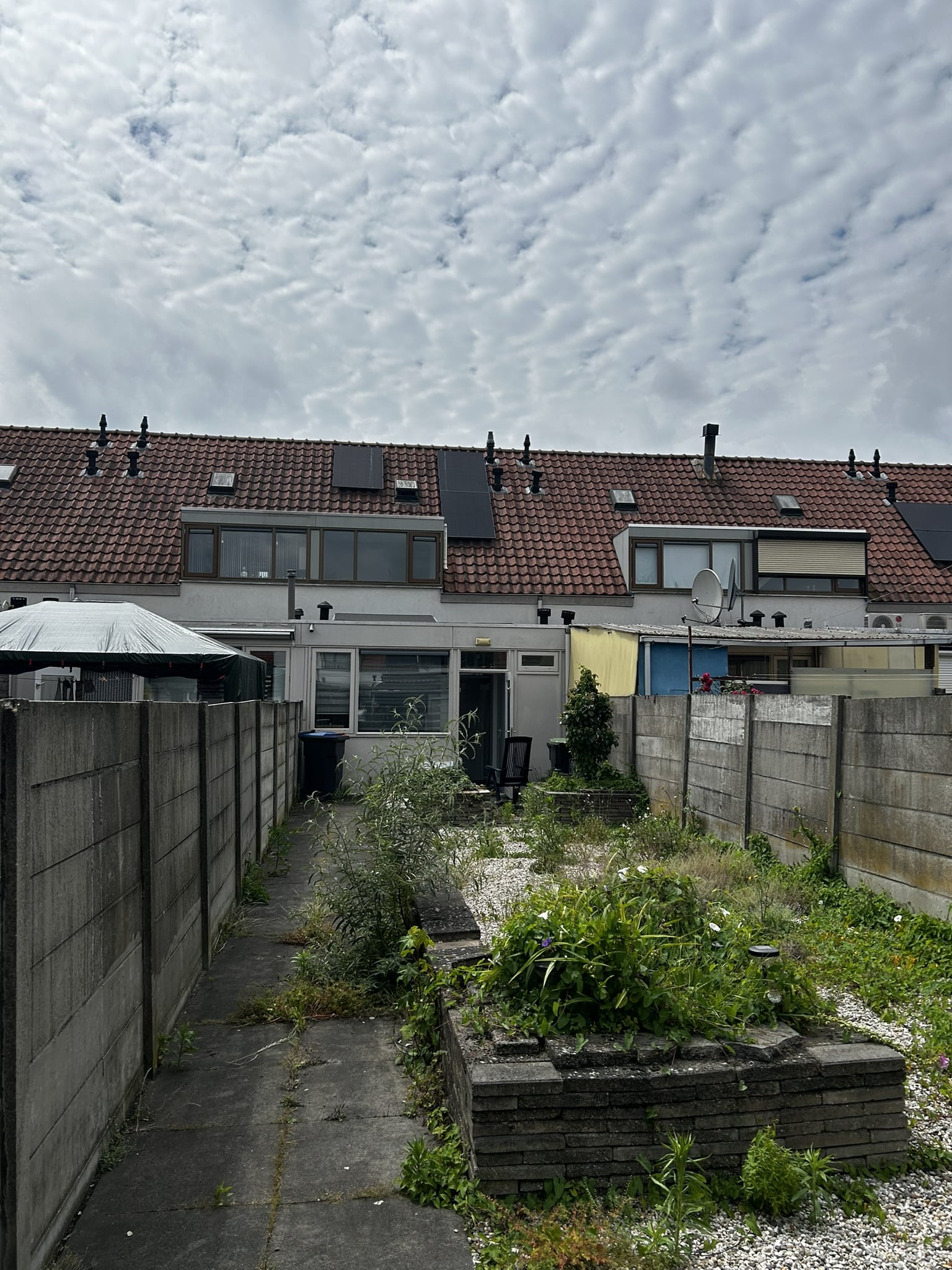 Tulpstraat 78