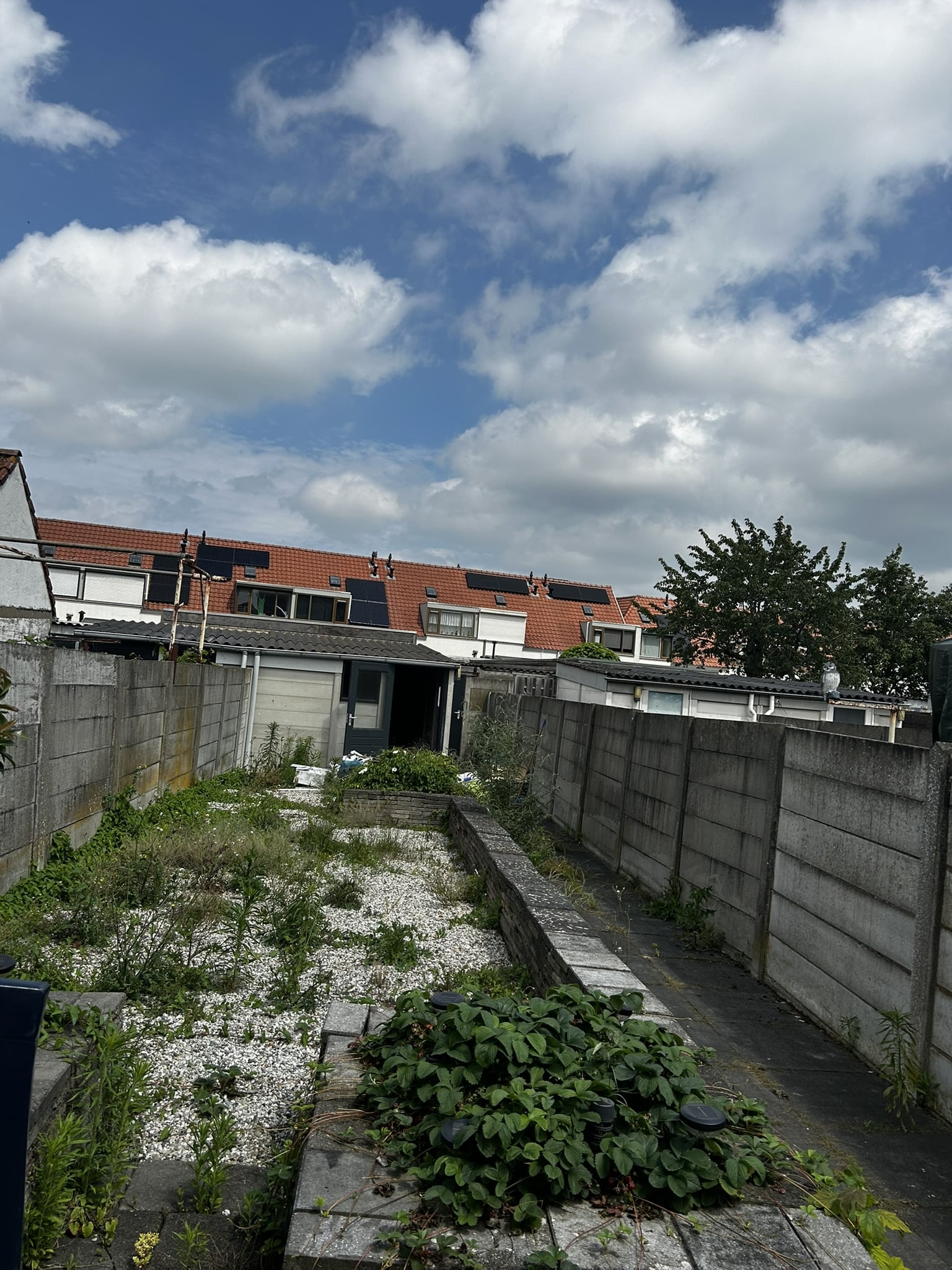 Tulpstraat 78