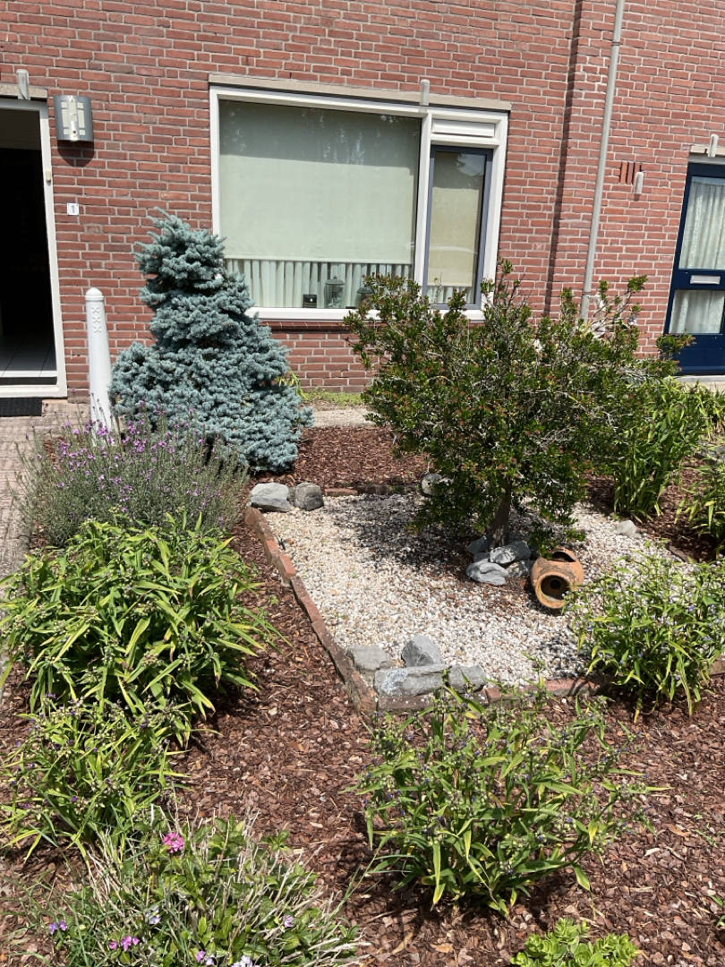 Haverkamp 1