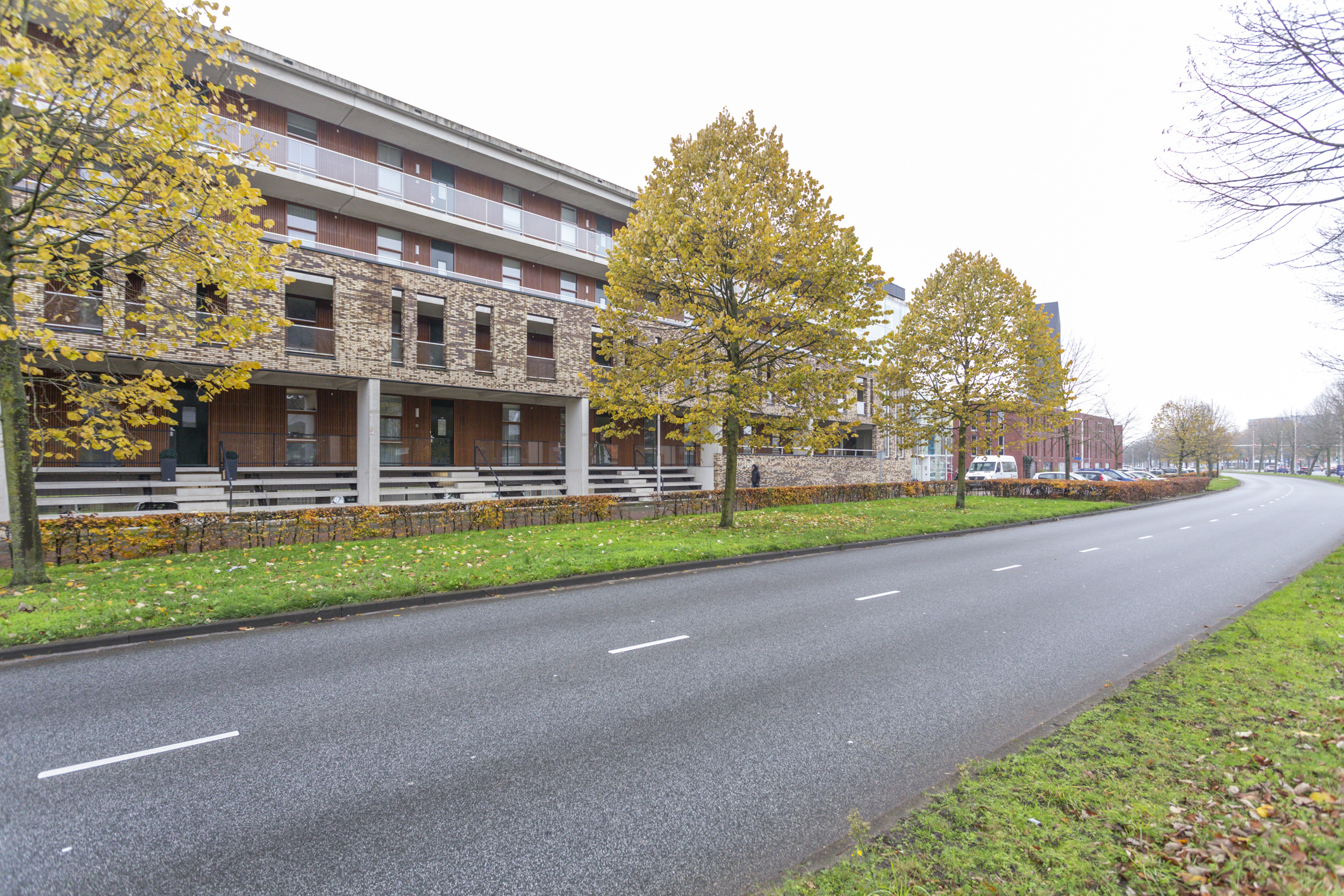 Ringbaan-Oost 3