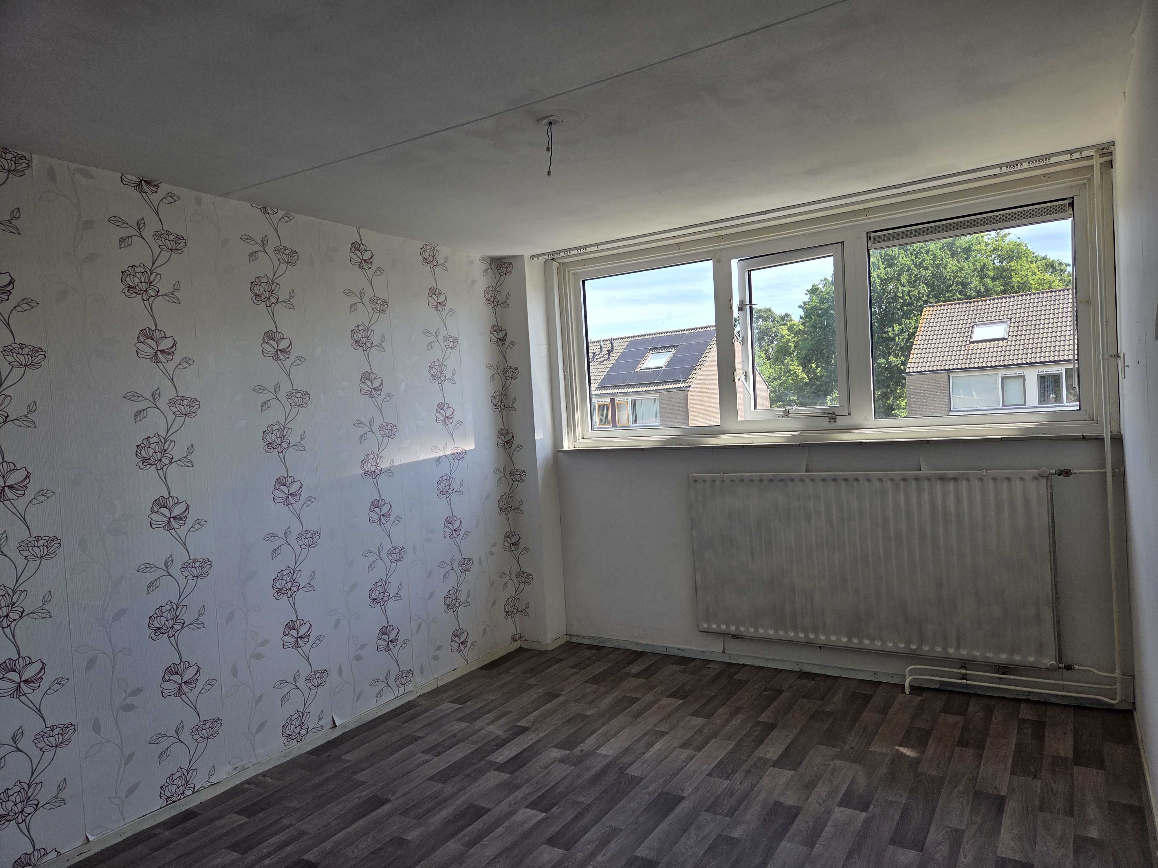 De Wittstraat 50