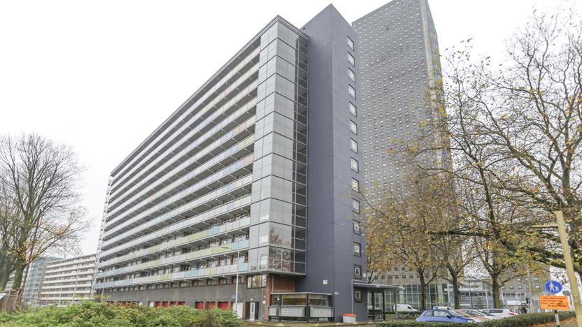 Hart van Brabantlaan 819