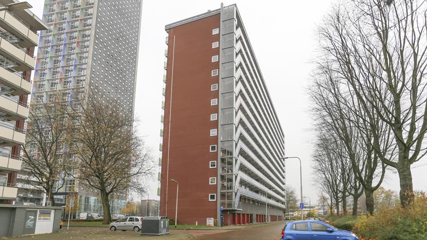 Hart van Brabantlaan 819