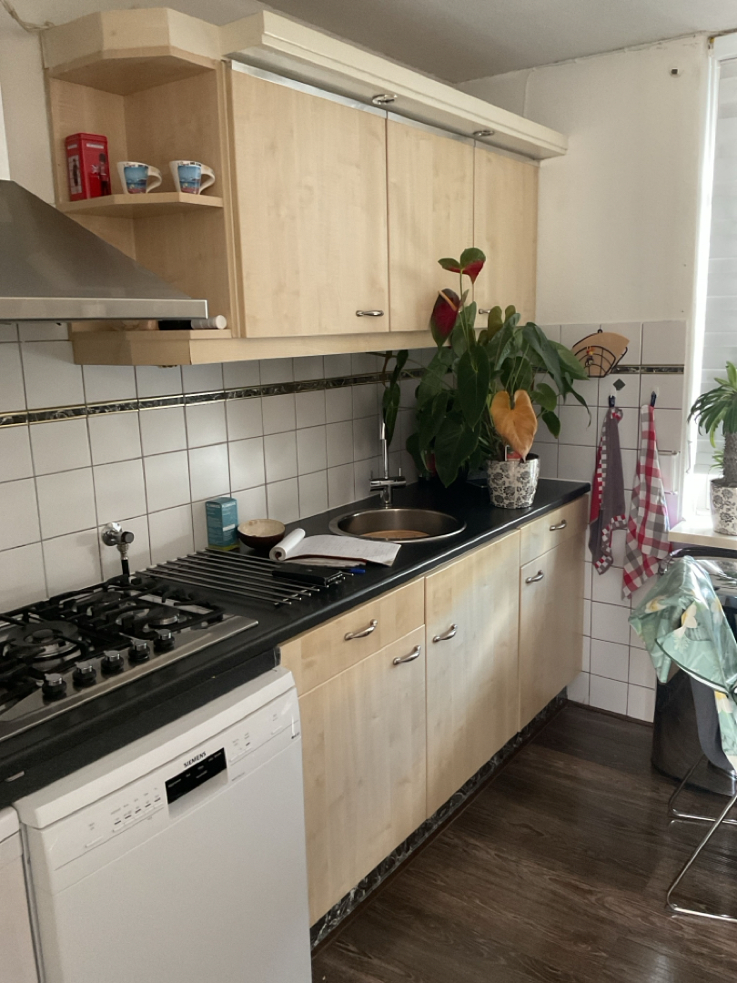 Anna van Burenstraat 214