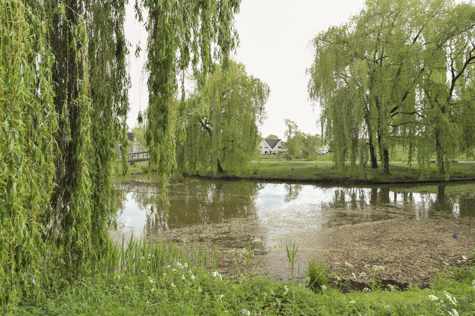 Maarheezepark 3