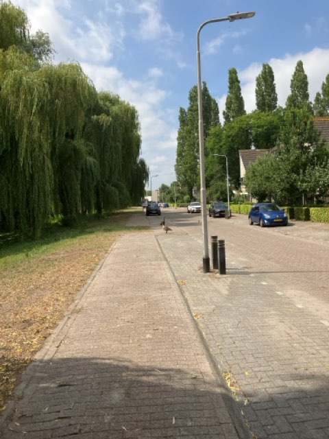 Maarheezepark 3