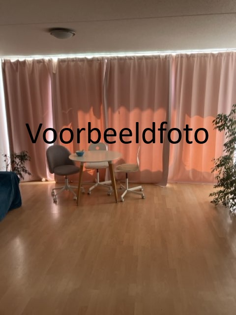 Korte Schijfstraat 54