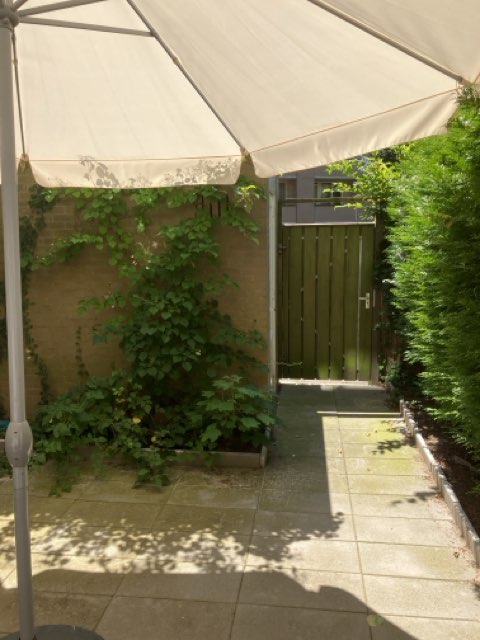 Korte Schijfstraat 54