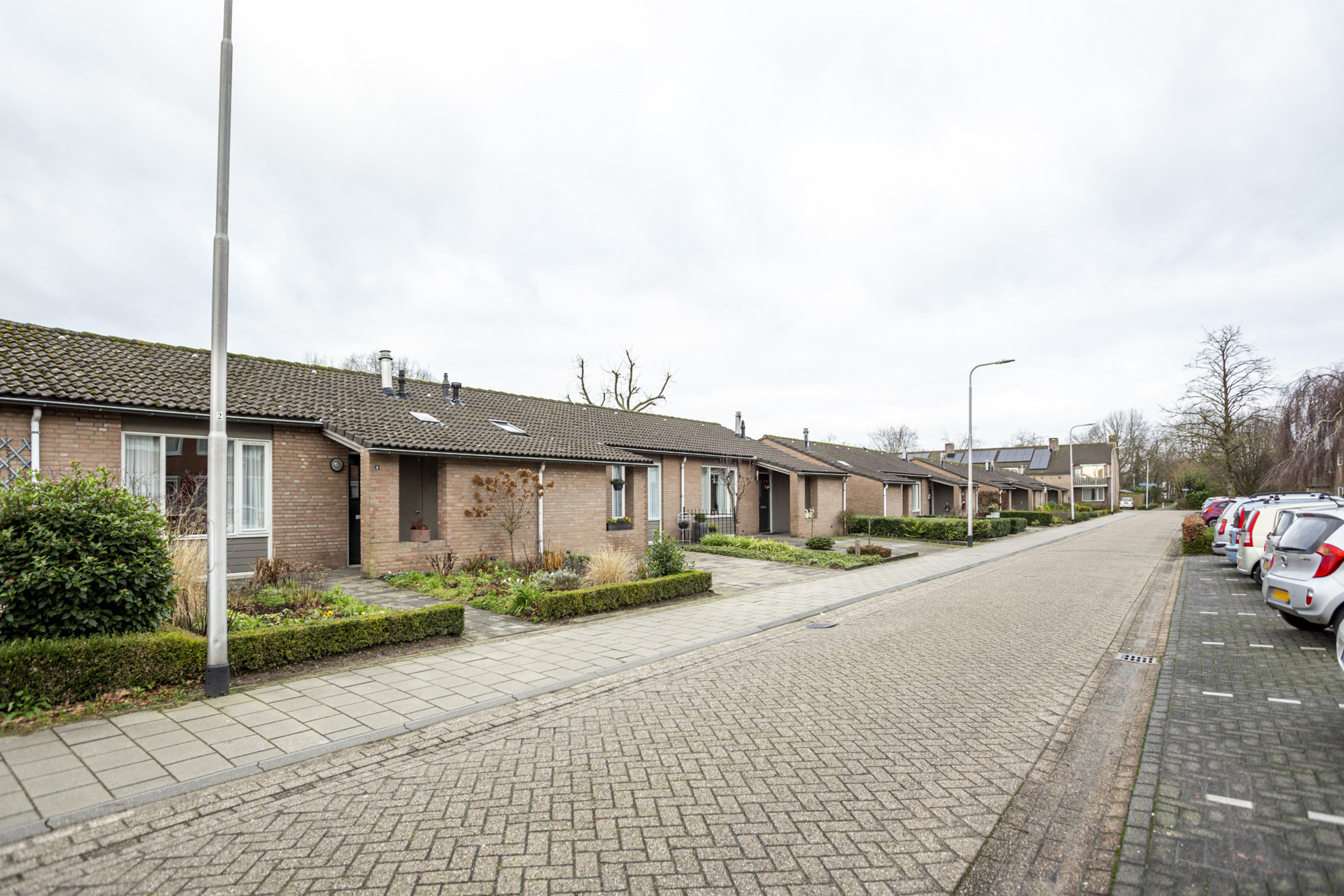 Korenbloem 7