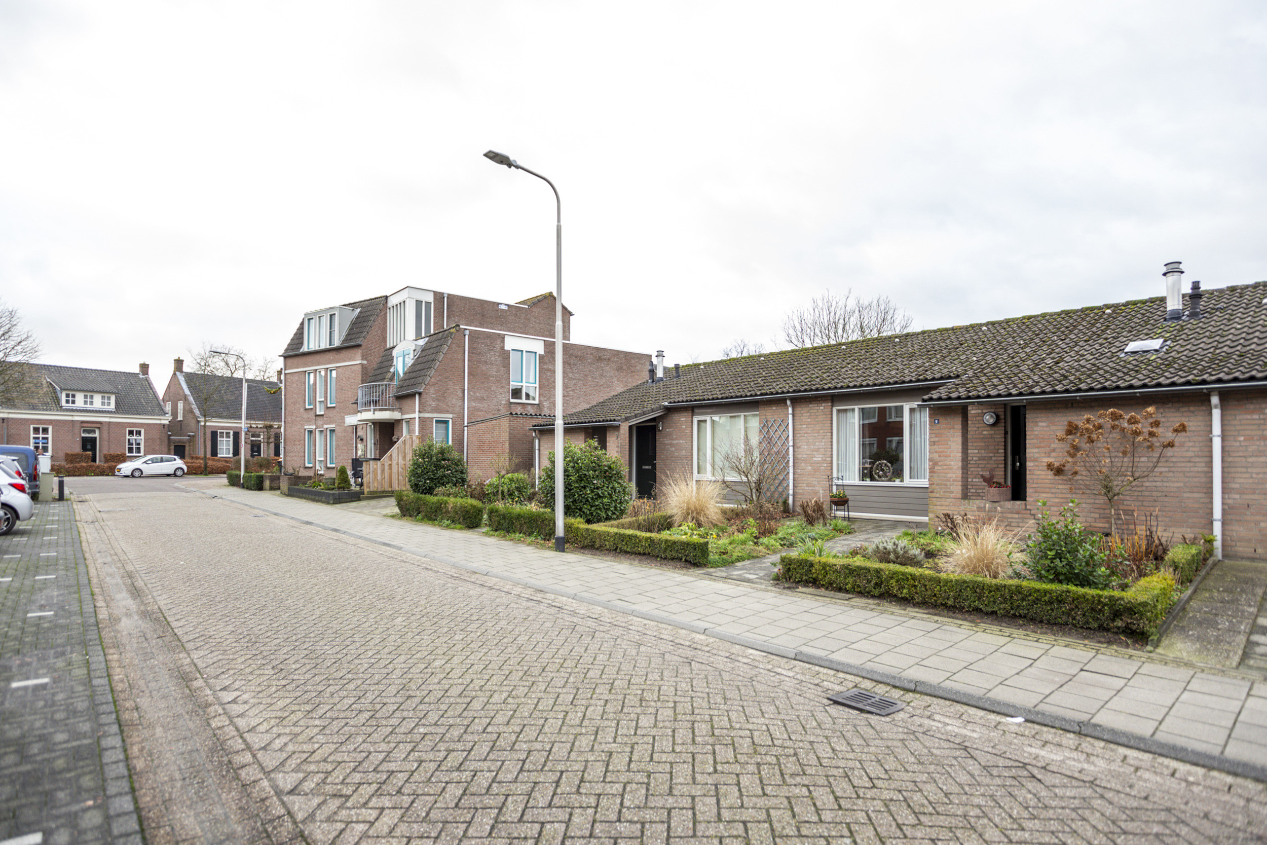Korenbloem 7