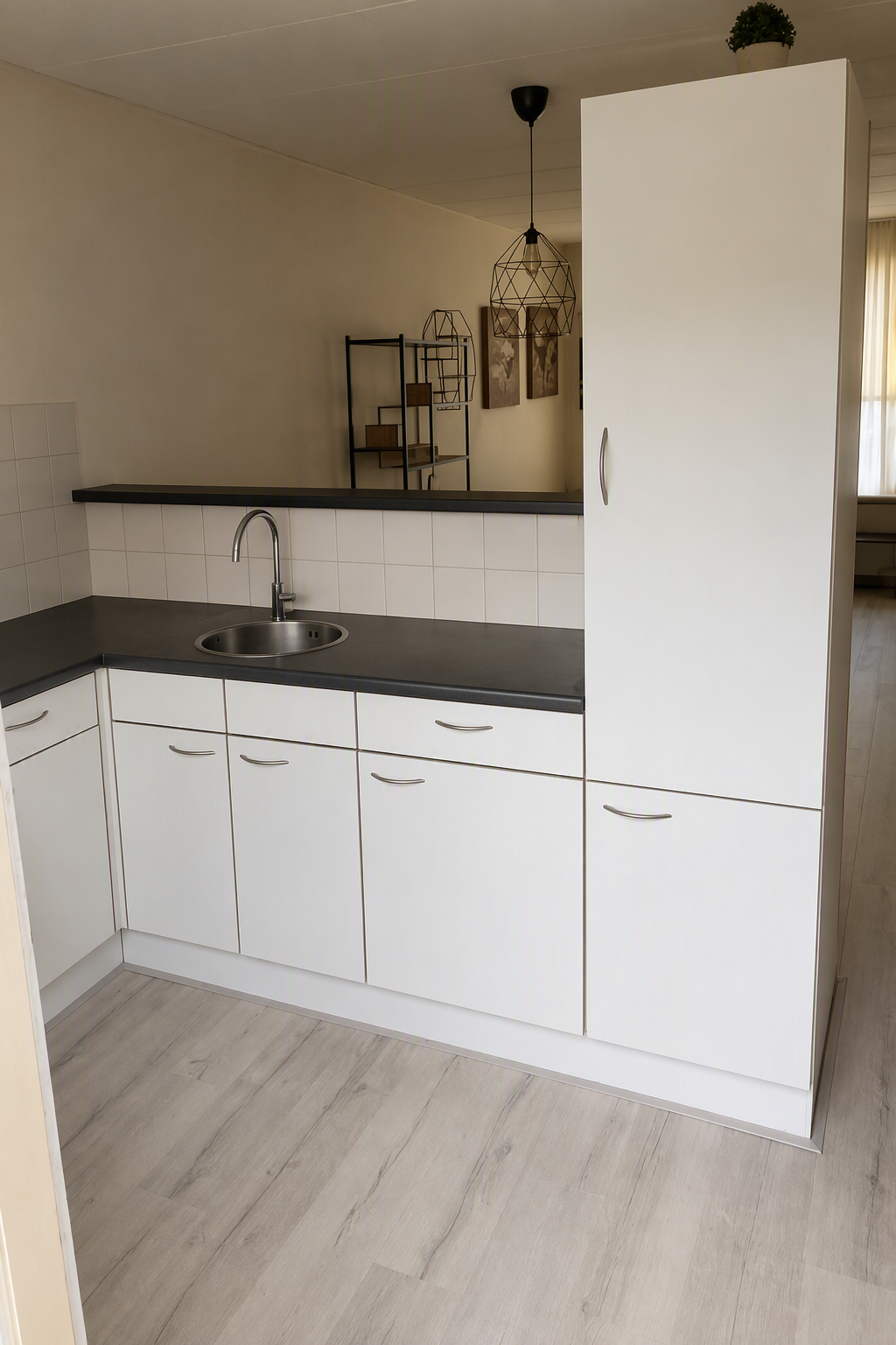 Korenbloem 7