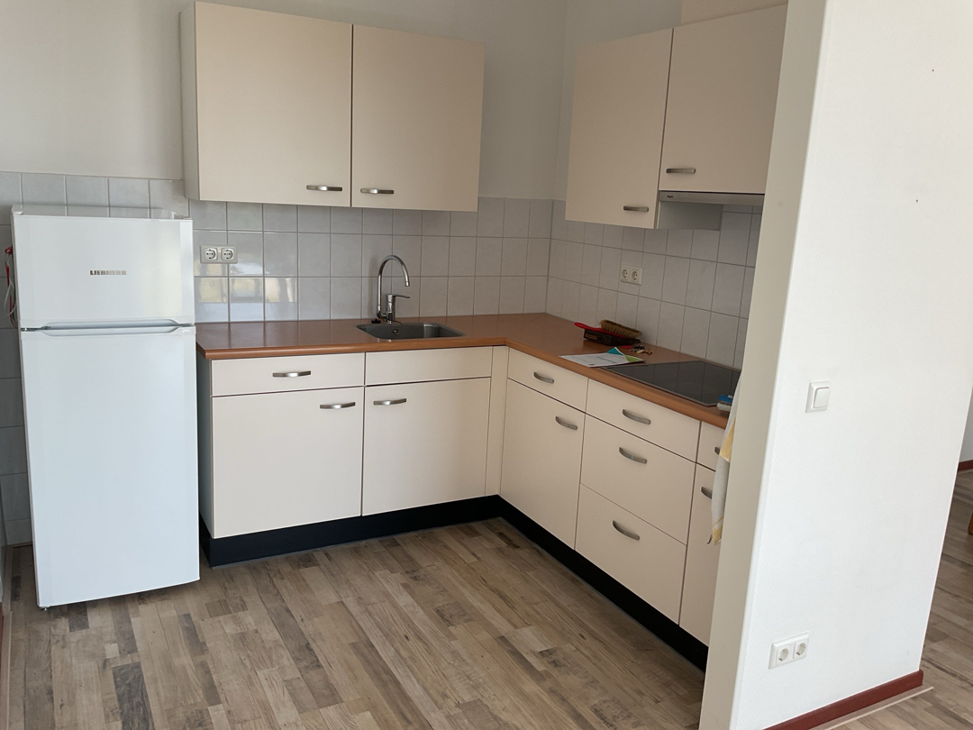 Koetshuislaan 233