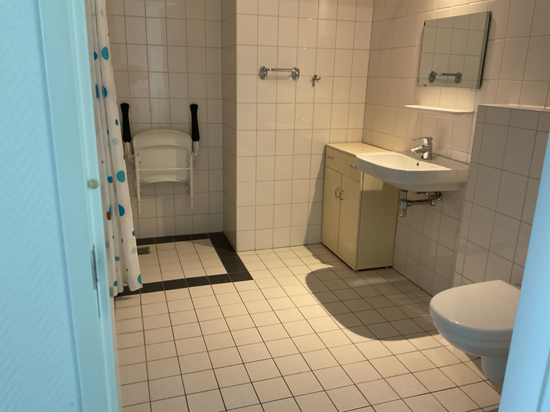 Koetshuislaan 233
