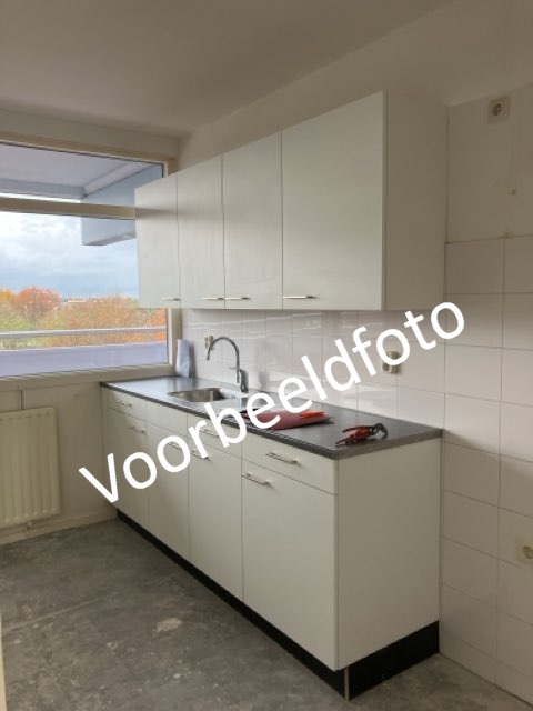 Hoffmannlaan 639