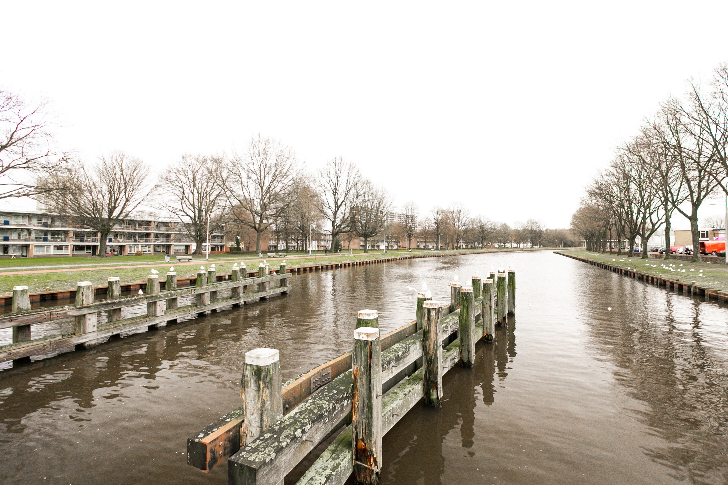 Eccardstraat 39