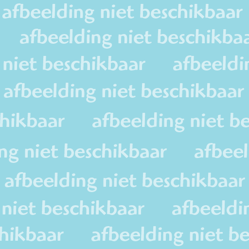 Broekhovenseweg 163, 5021 LD Tilburg, Nederland