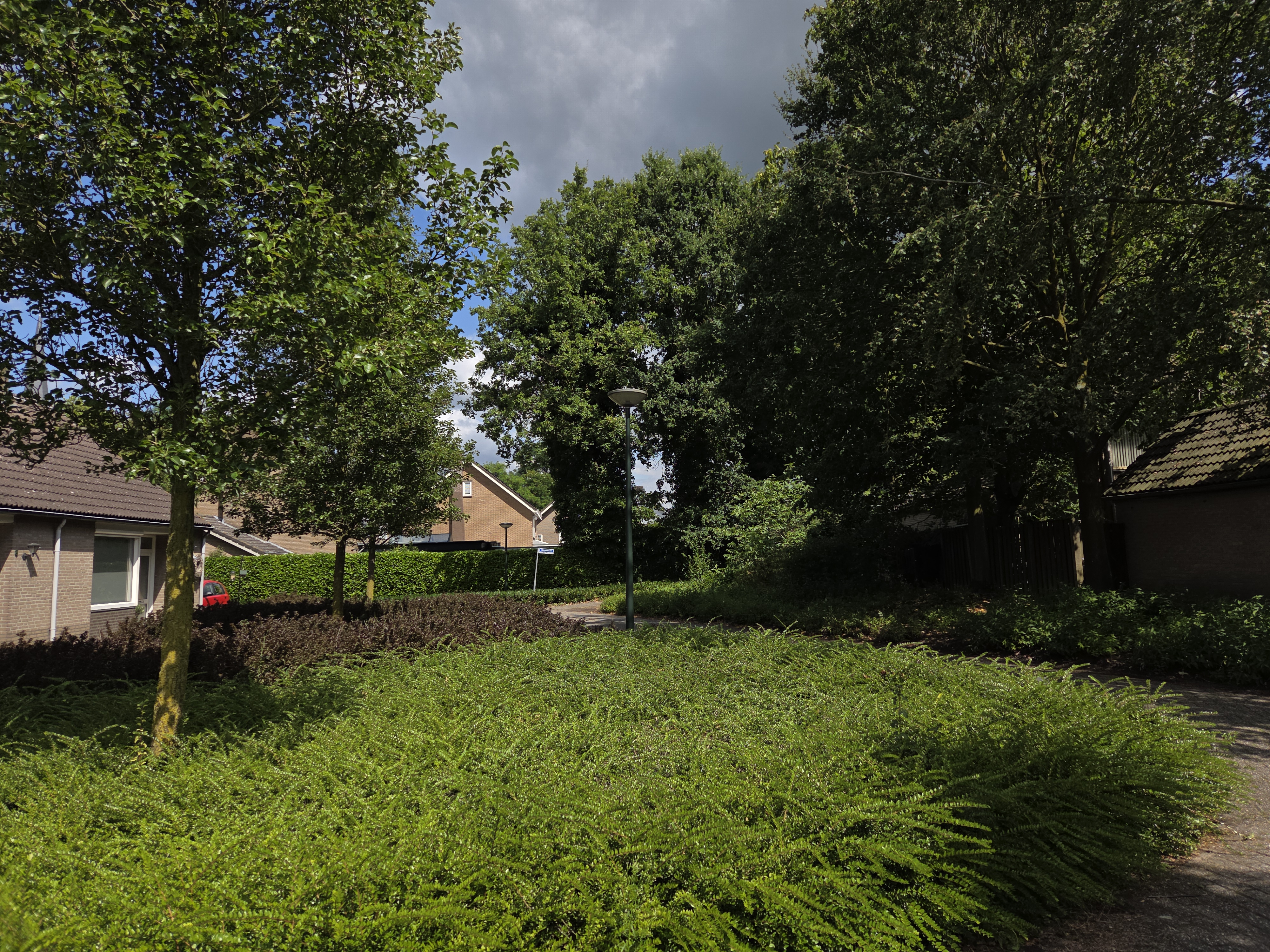 Wilgenlaan 12