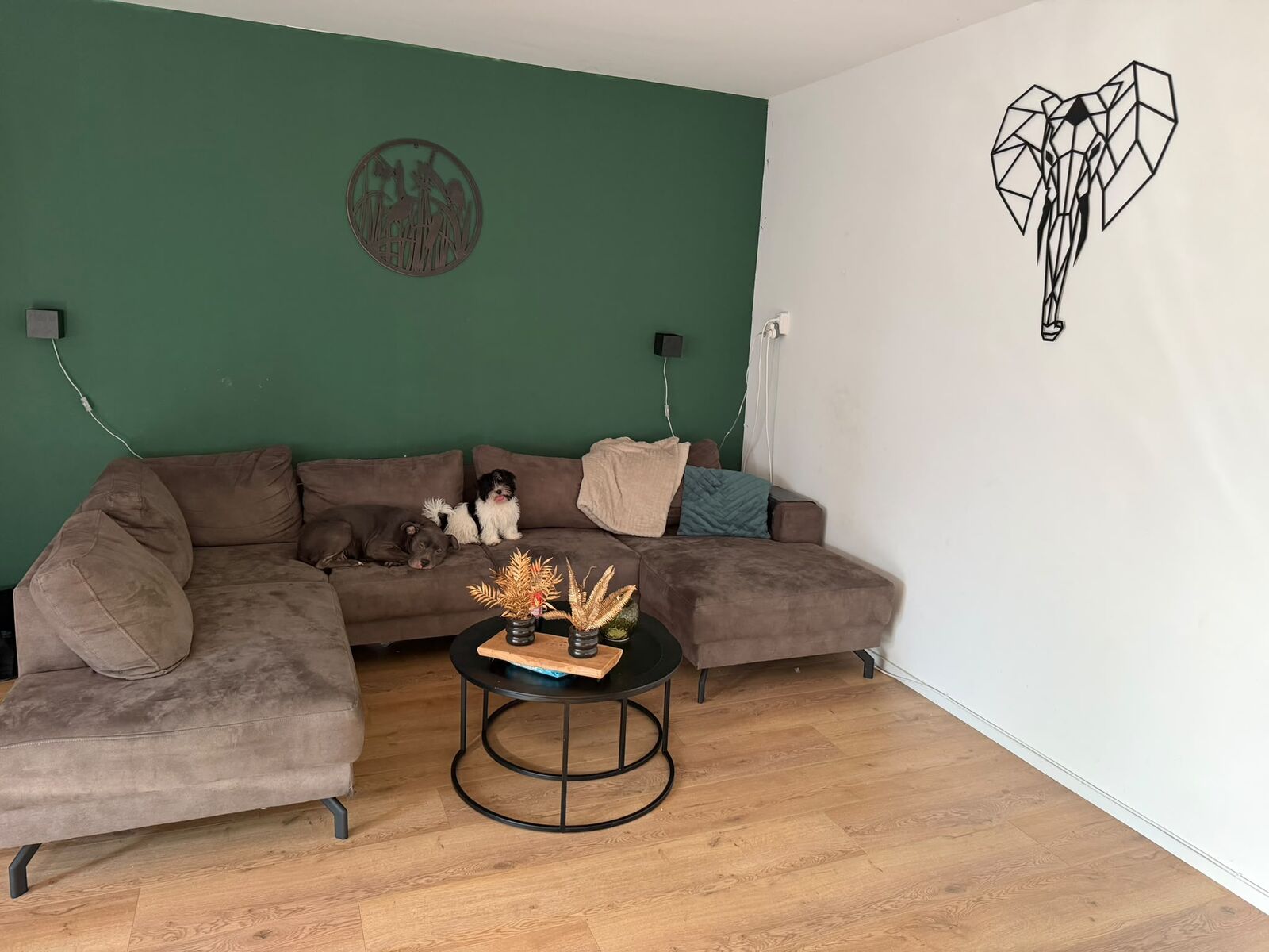 Perosistraat 413, 5049 LK Tilburg, Nederland