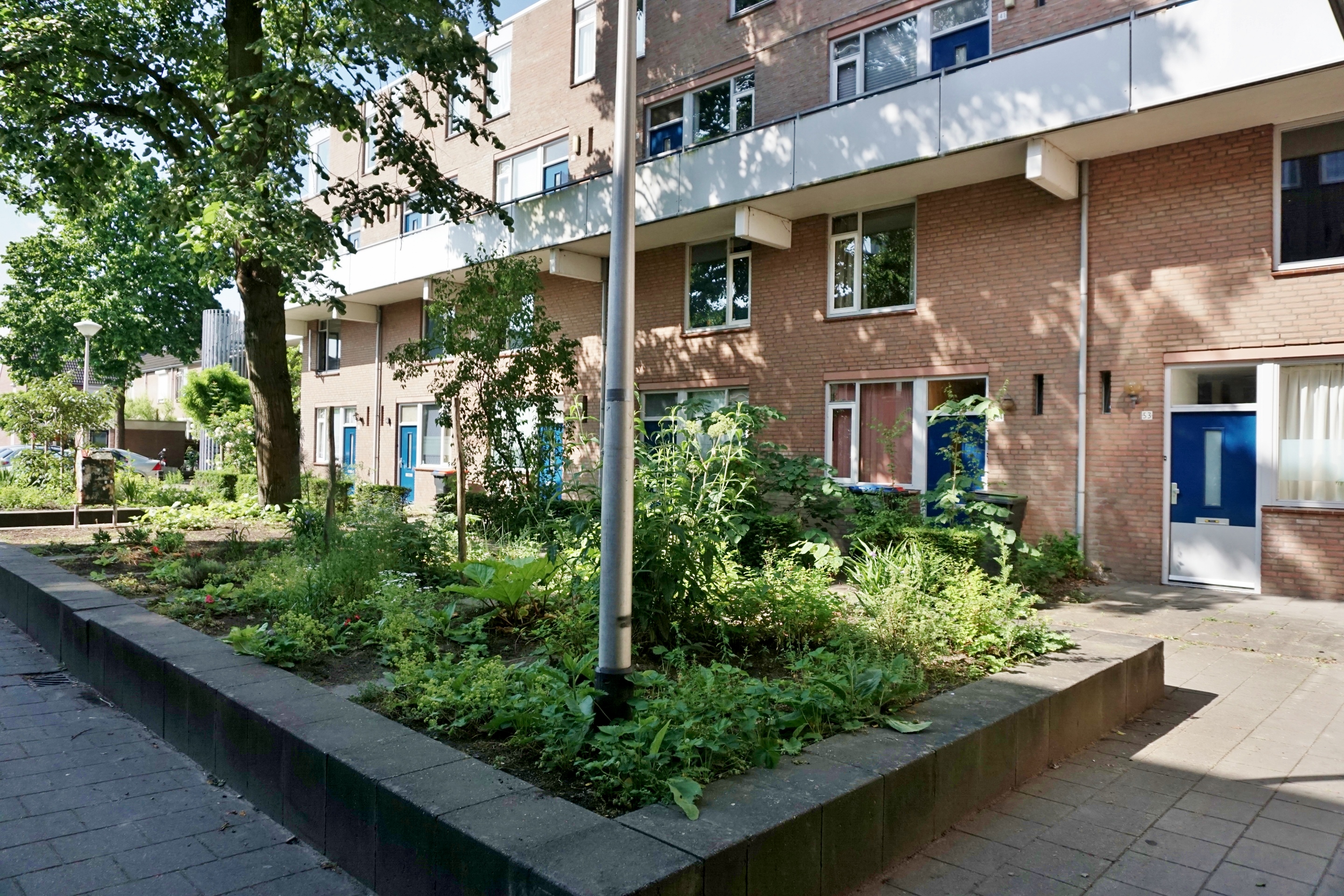 Conradhof 38