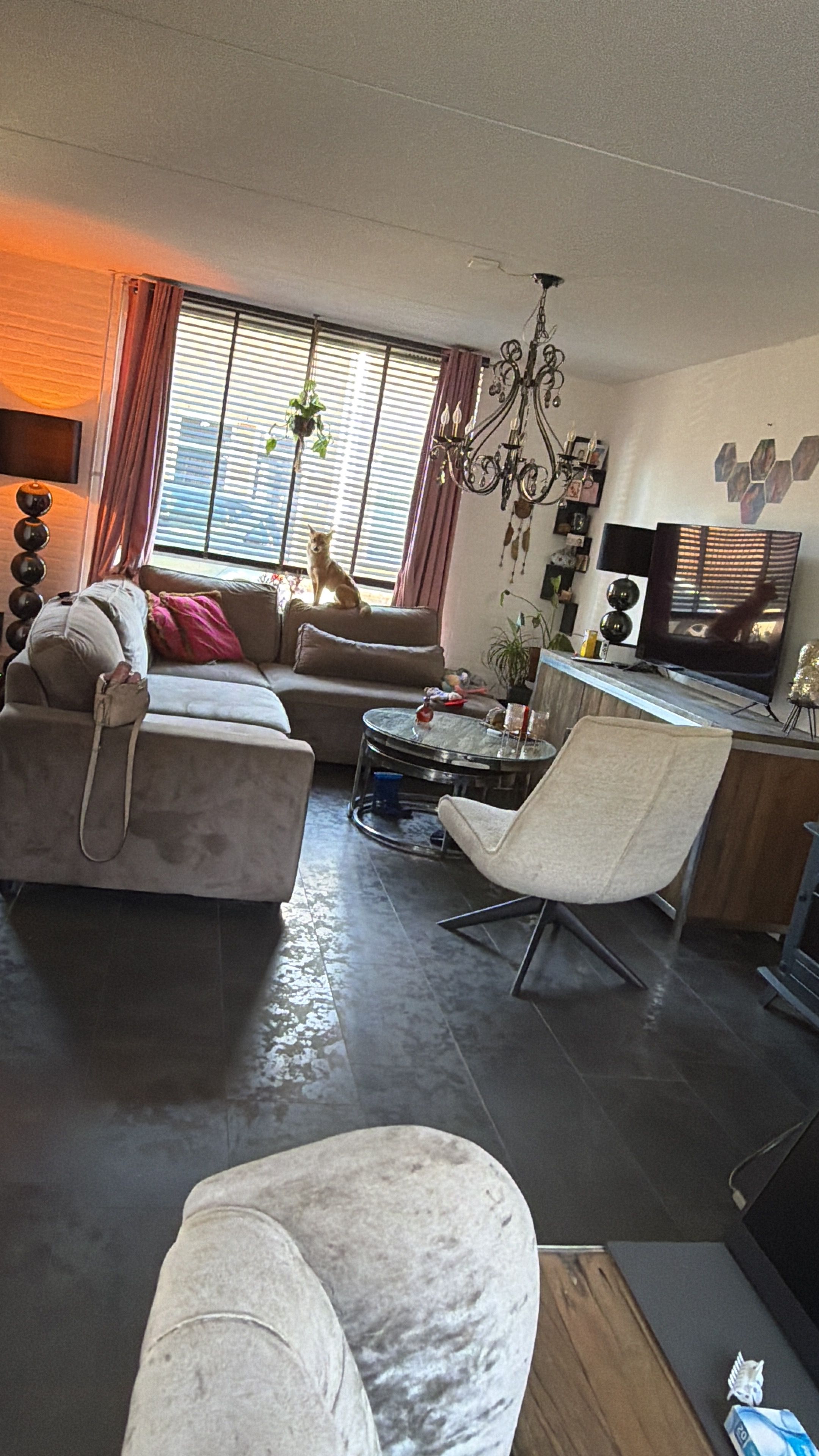 Kurassiersstraat 14, 5017 EH Tilburg, Nederland
