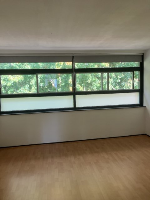 Snelliusstraat 43