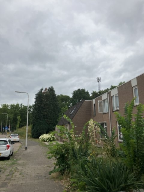 Bolswardstraat 43