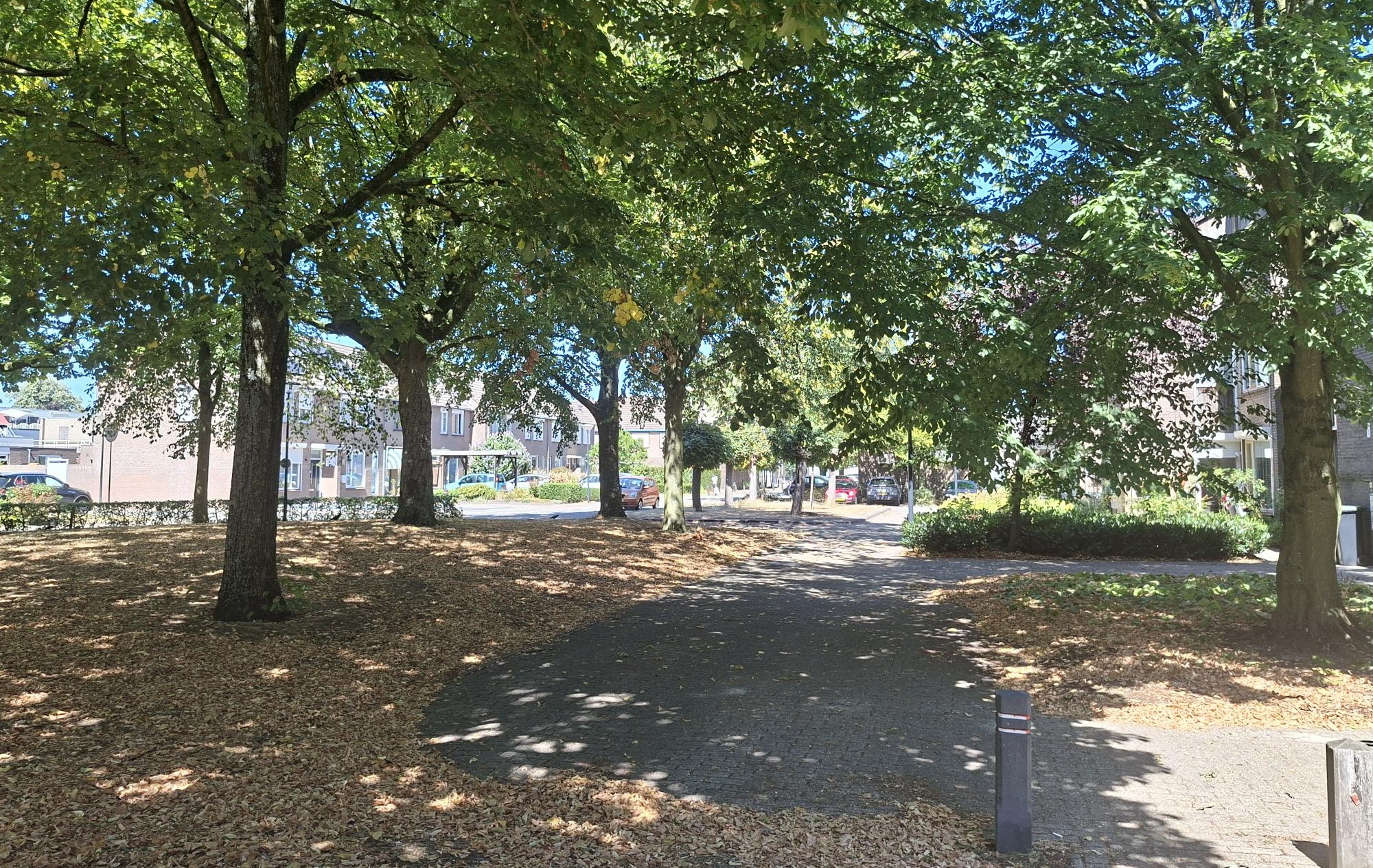 Diederikhof 45