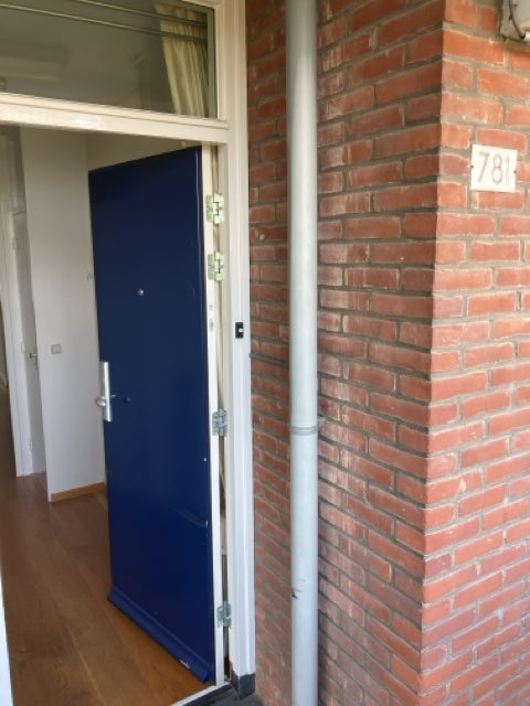 Hart van Brabantlaan 781