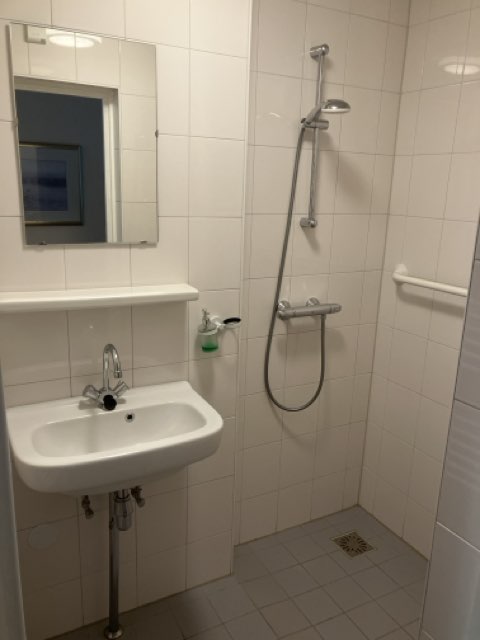 Hart van Brabantlaan 781