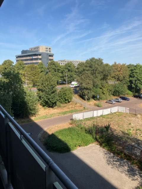 Hart van Brabantlaan 781