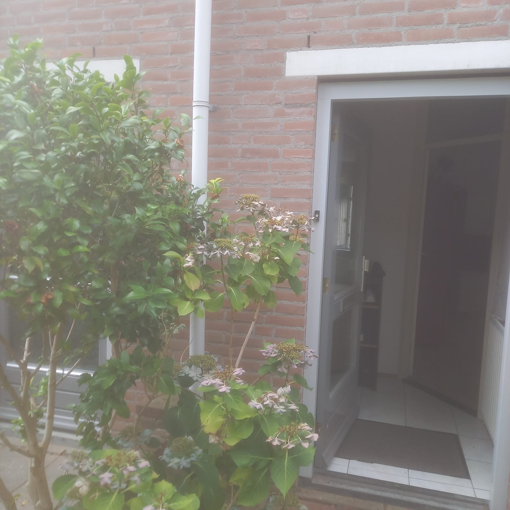 Schepenstraat 15