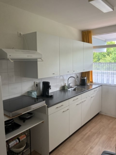 Hoffmannlaan 265