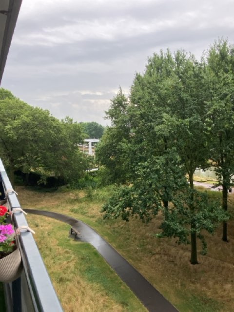 Hoffmannlaan 265