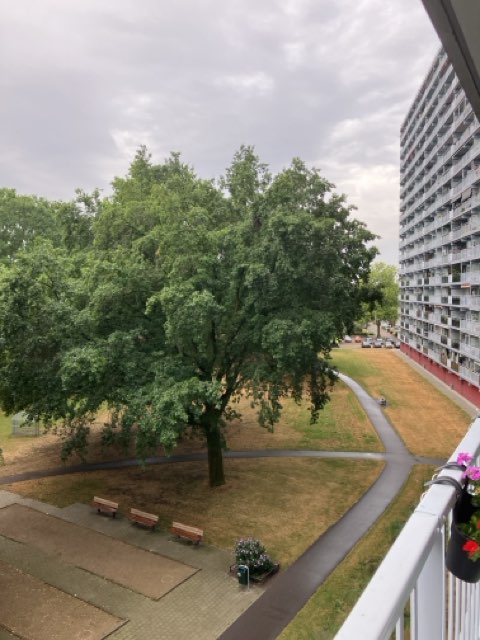 Hoffmannlaan 265