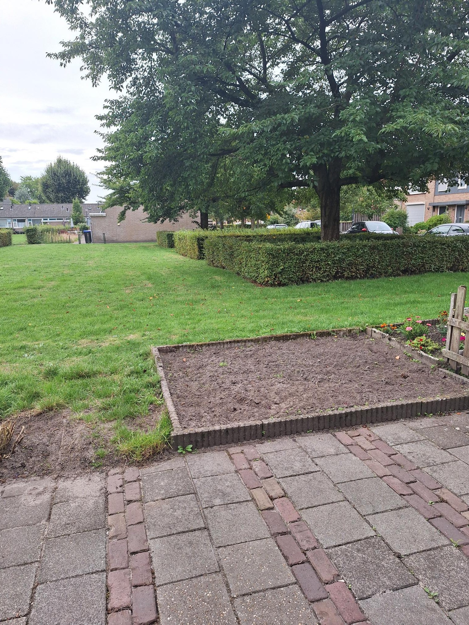 Burgemeester Meijerstraat 52