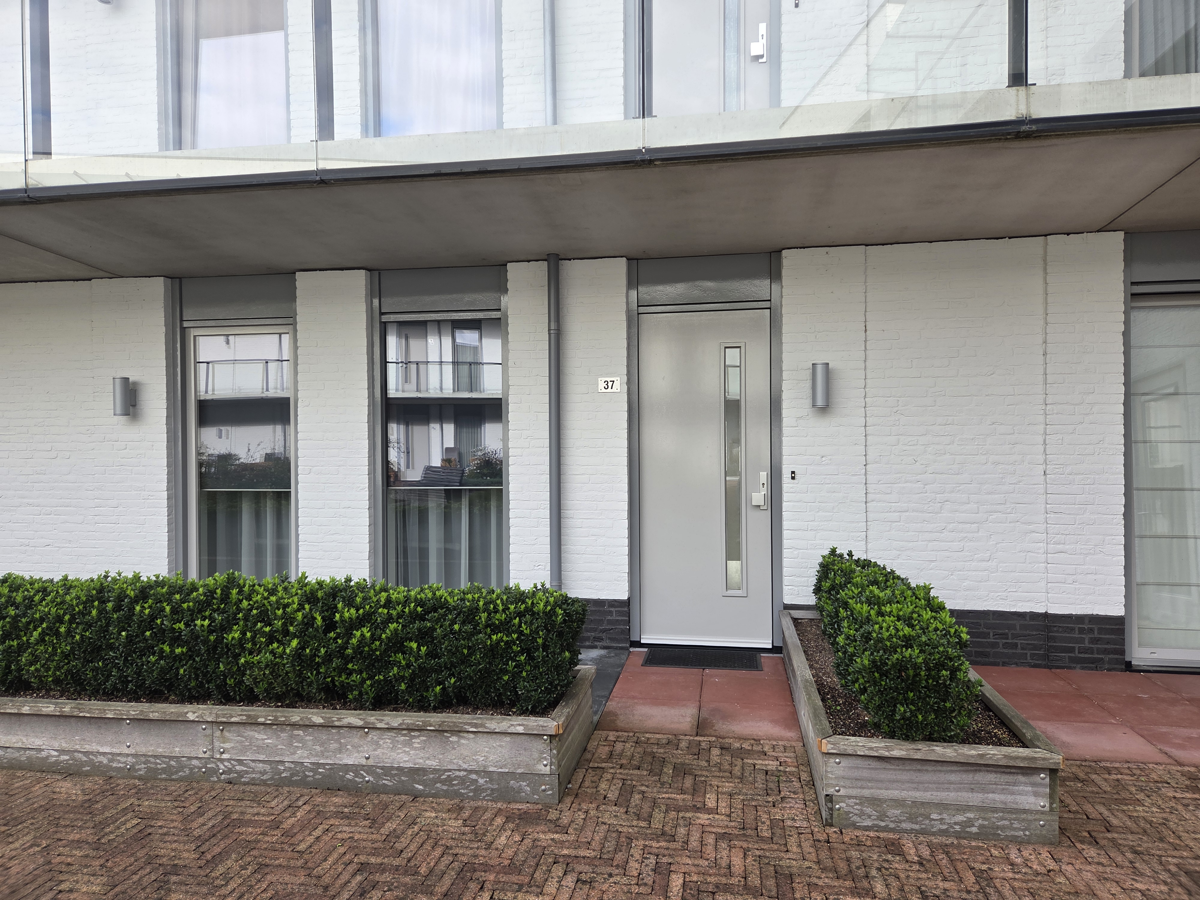 Koningsschild 37