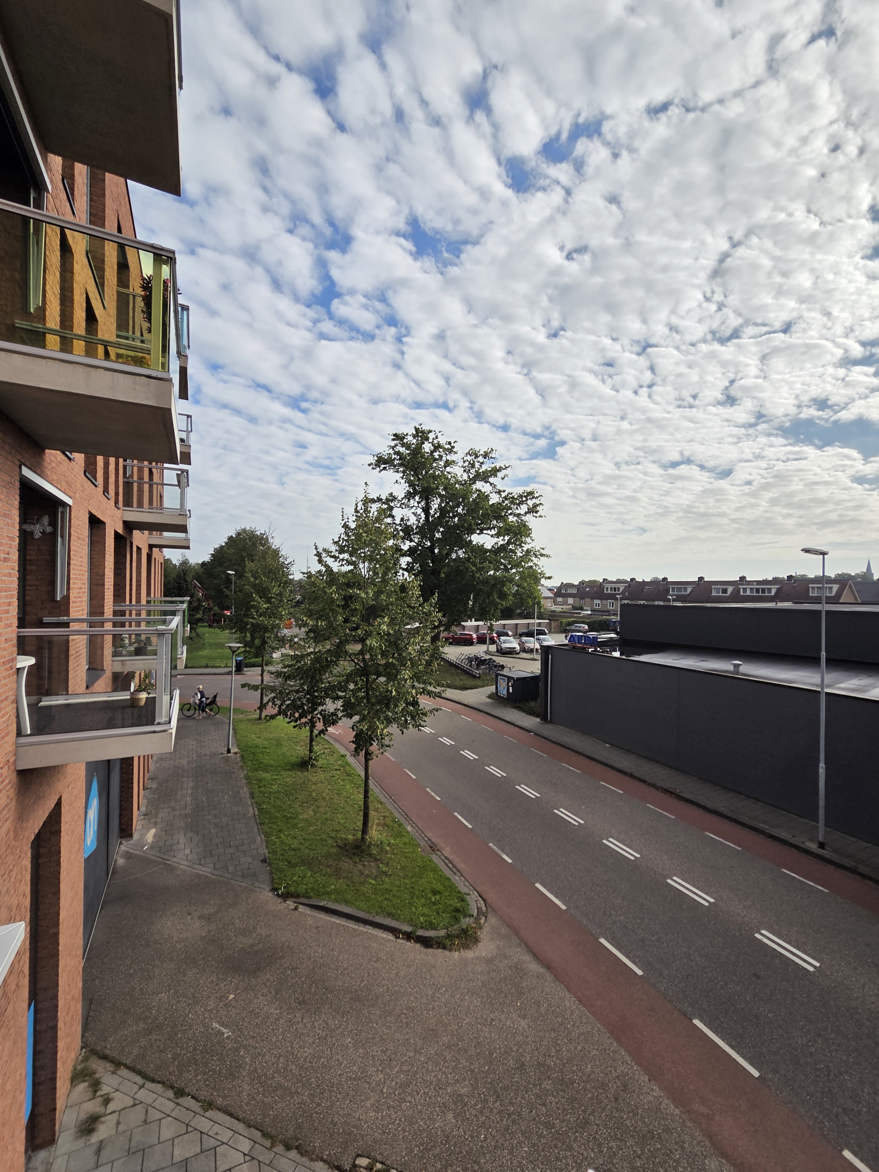 Koningsschild 37