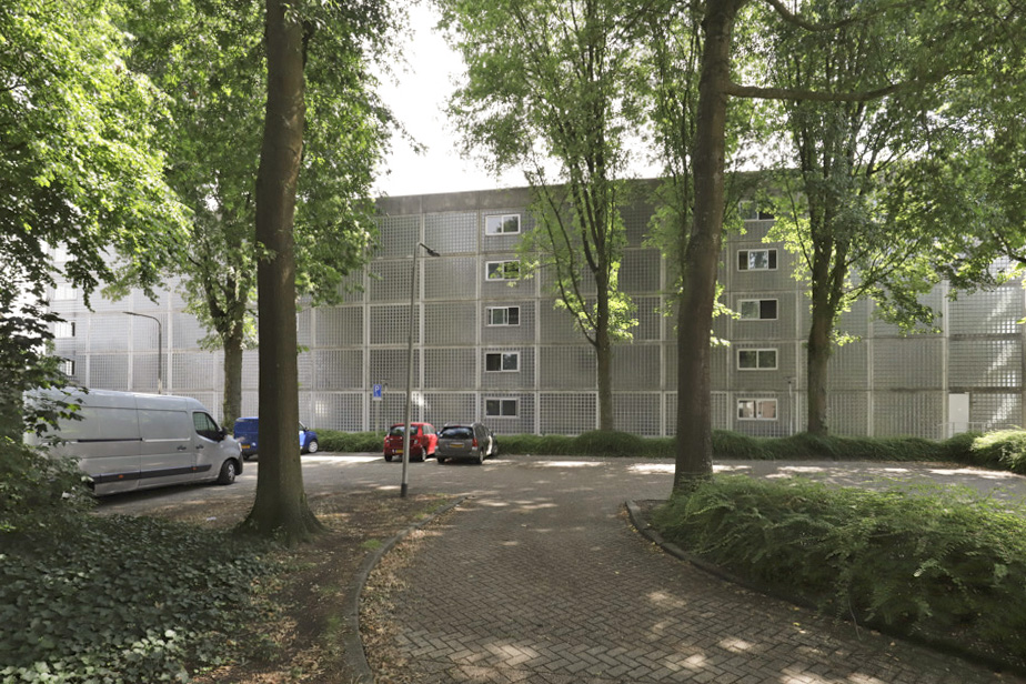 Tjeuke Timmermansstraat 73